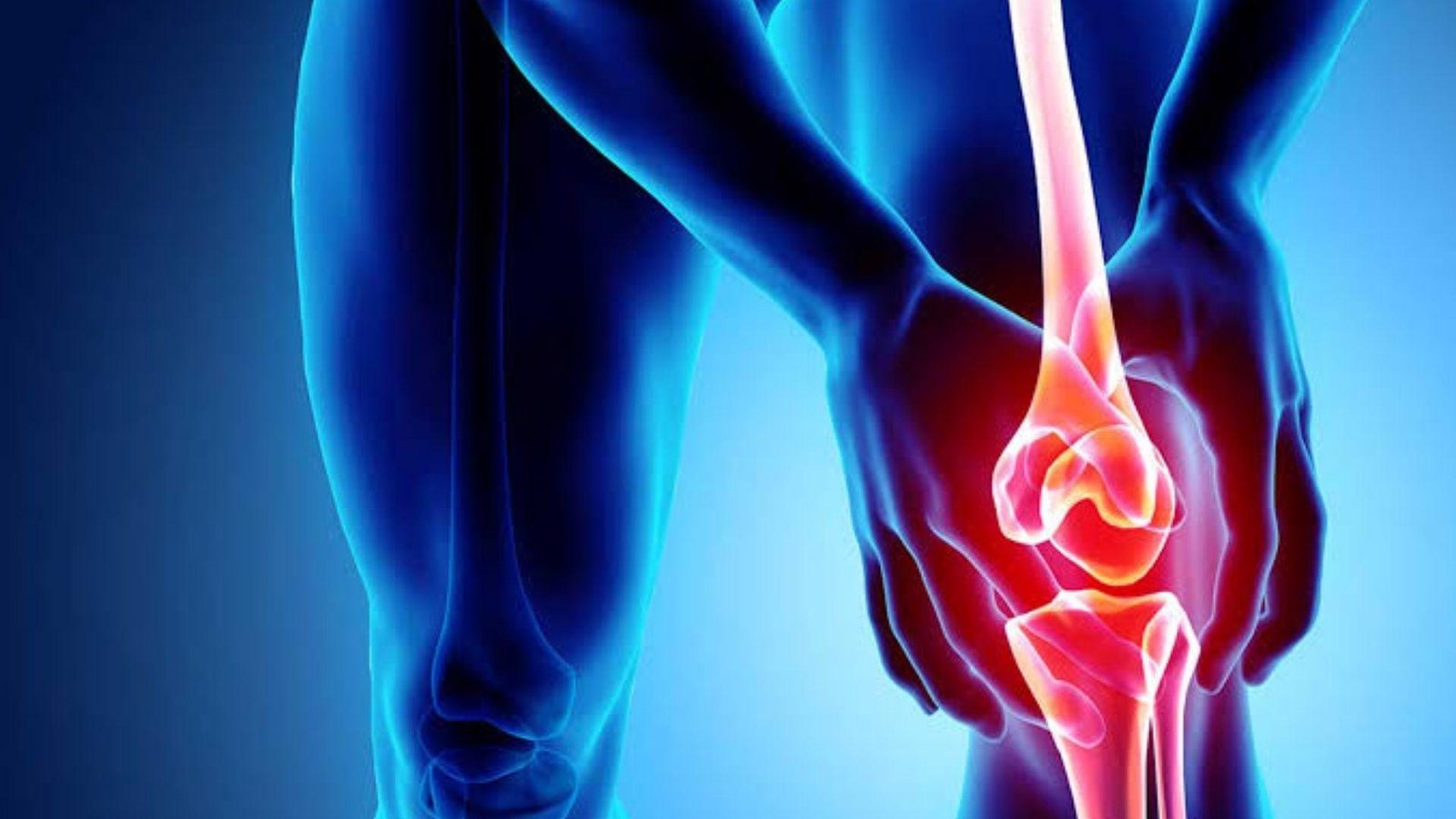 Diagram of a knee joint, highlighting its structure, ligaments, and cartilage for educational purposes.